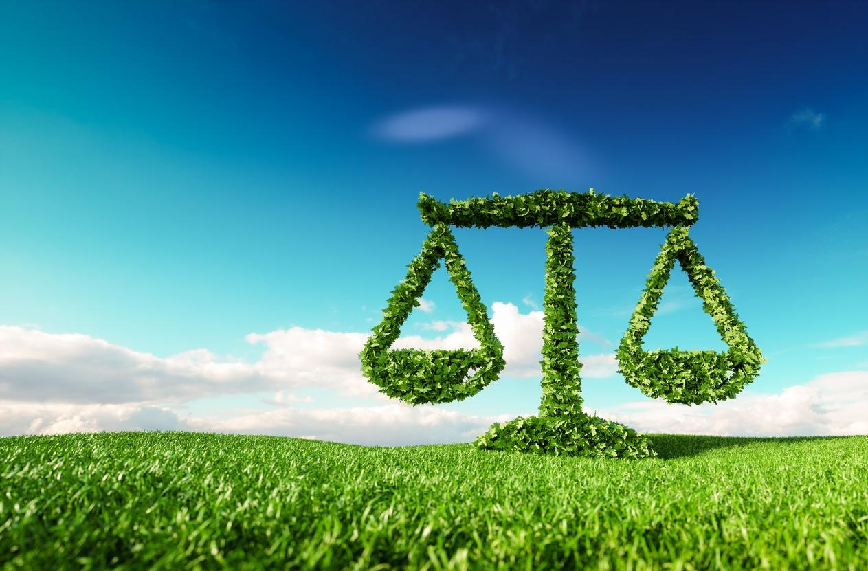 How is environmental law employed to safeguard natural resources and maintain our ecosystem?