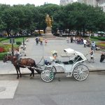 Central Park horse carriages