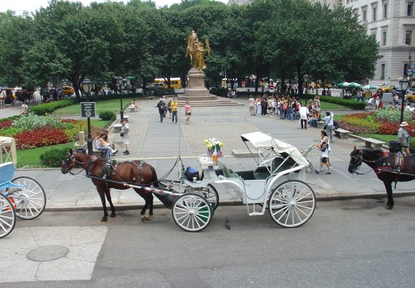 Central Park horse carriages