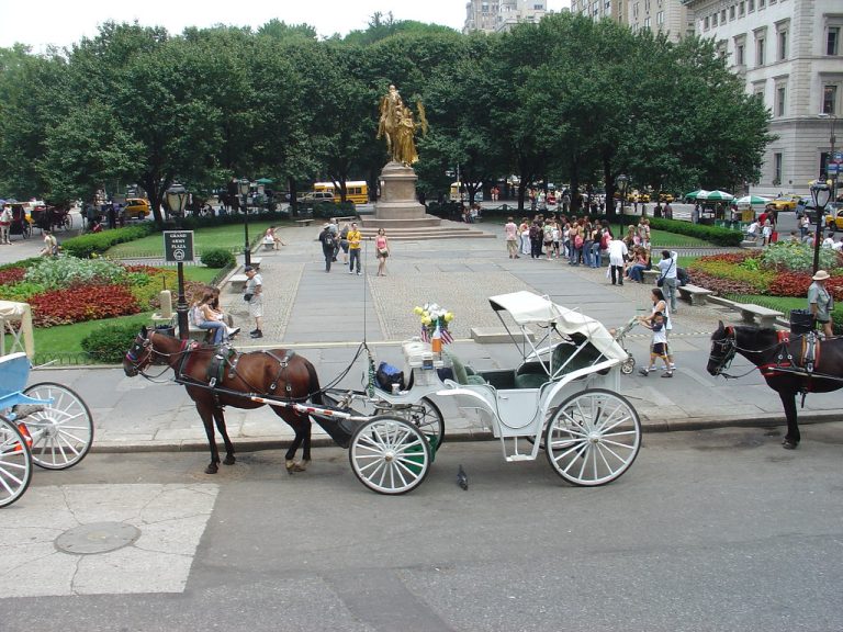 Central Park horse carriages