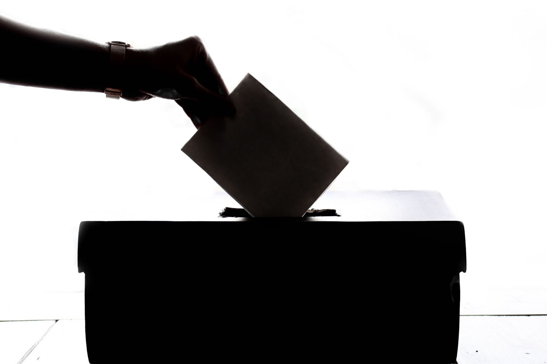 Haiti electoral council